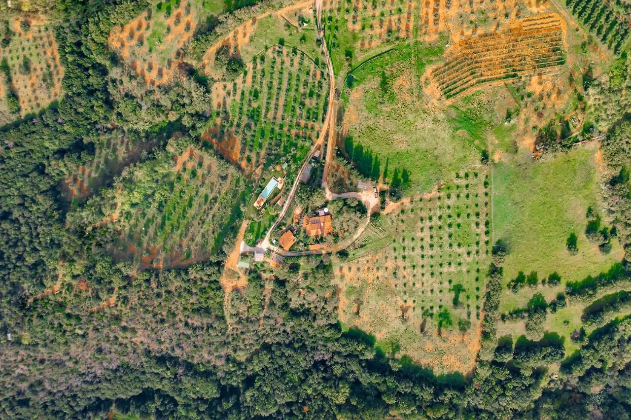 Podere Torricelle 69B Pancole Gr, Seaview Infinity Pool, Jacuzzi, Sauna, Exclusive Villa For 4 And Independent Extra Suite For 2 In Main Villa With Private Ensuite Bathroom, Kitchenette, Dining Area For 6 With Barbeque In Exclusive Private Garden