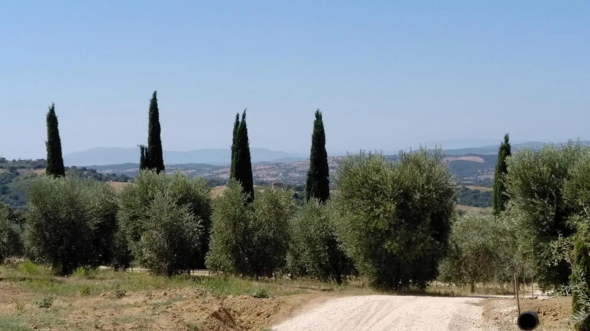 Villa Torricelle: Tuscan Retreat with Infinity Pool and Sea View Pancole Italy