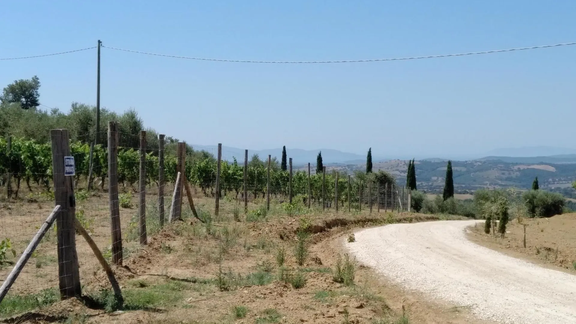 Villa Torricelle: Tuscan Retreat with Infinity Pool and Sea View Pancole 0*,